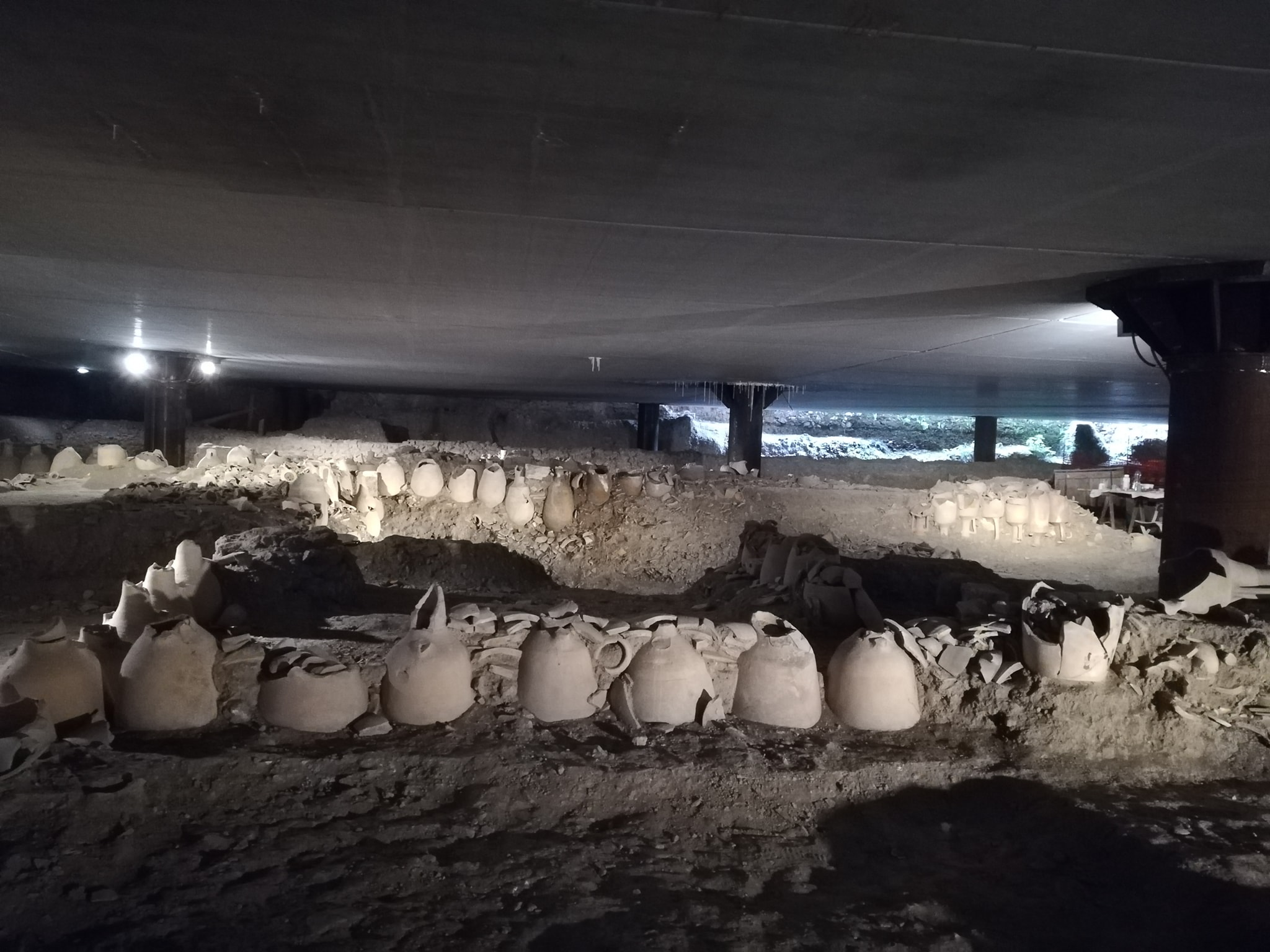 Notte europea dei Musei al mercato di Testaccio